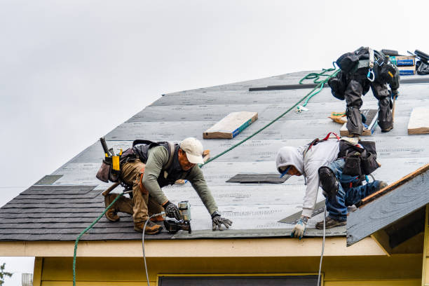 Professional Roofing technician working in Oslo, MN